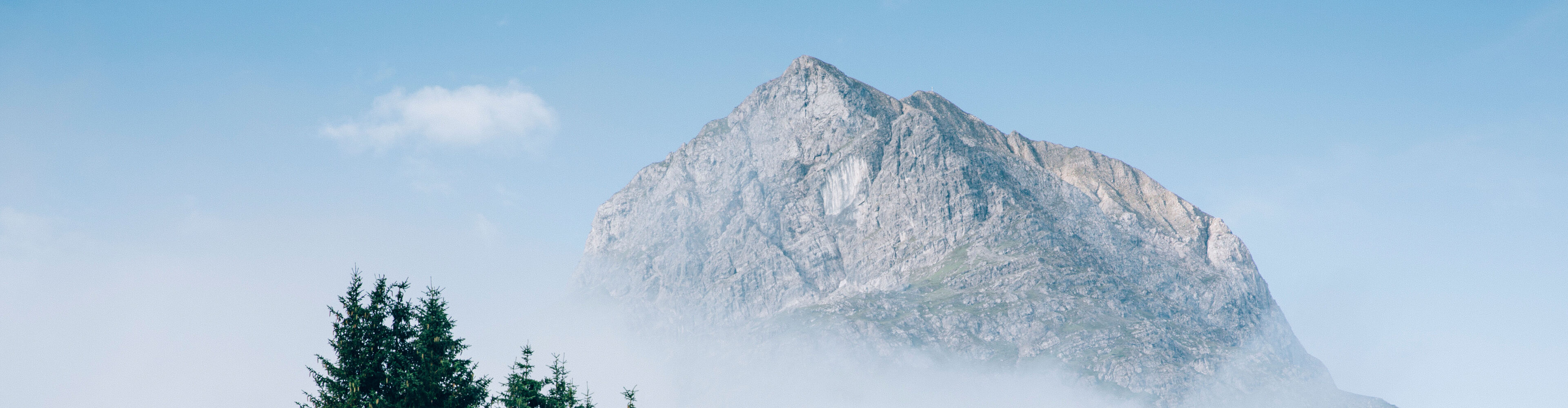 Landschaft_LZTG_by_Daniel_Zangerl_WEB_ (18)