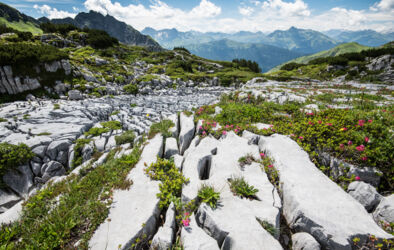 Karstlandschaft des Steinernes Meers