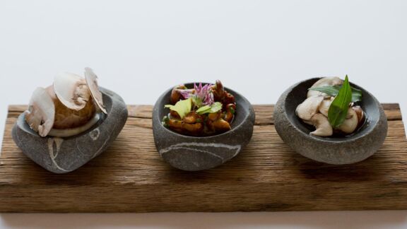 griggeler-stuba-pilze