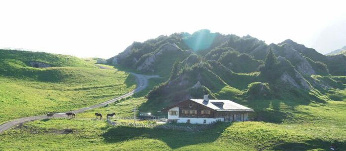 Kriegeralpe