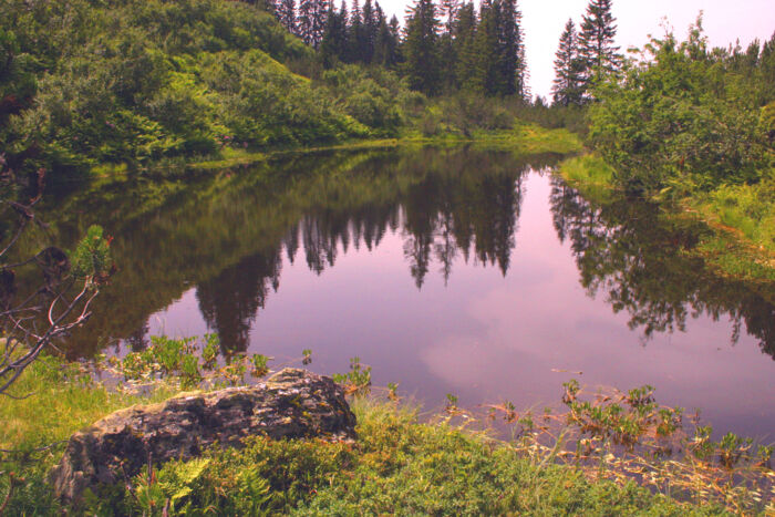 Stubner See