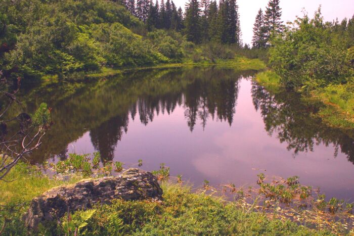 Stubner See