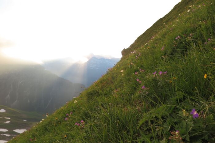 Sonnenuntergang beim Abstieg vom Omeshorn