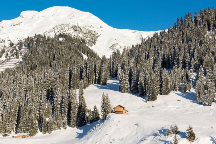 nidus_chalet_lech_ausblick_natur_berge_DSC_3162