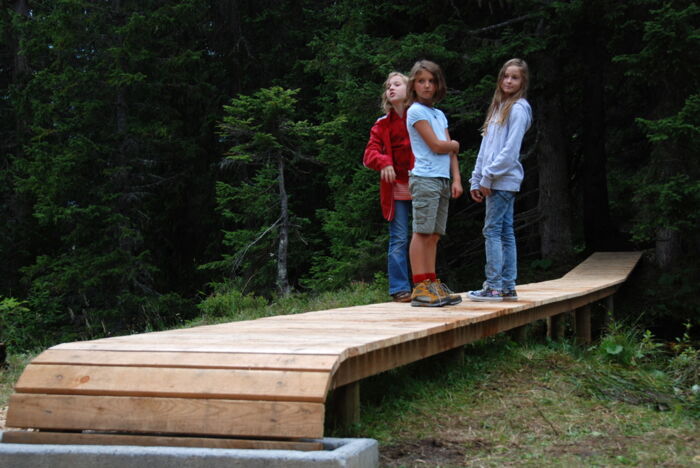 Drei Kinder wandern auf einem Holzsteeg durch den Wald