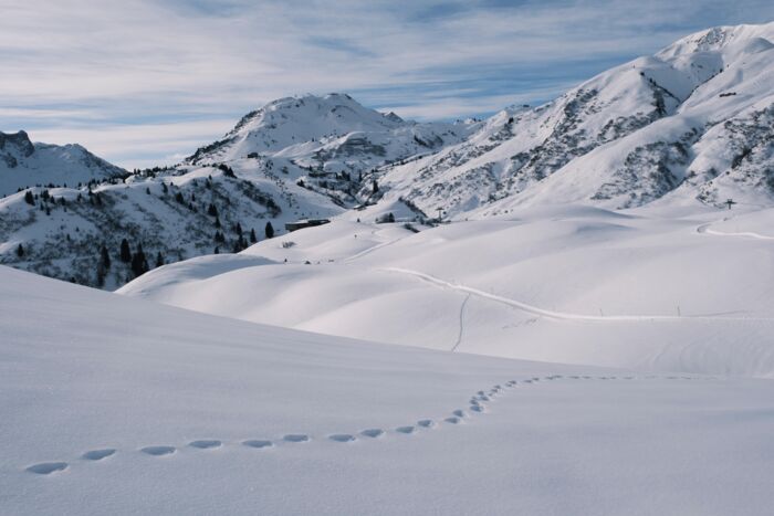 Winter_2025_LZTG_by_Vincent Croce_WEB (12)