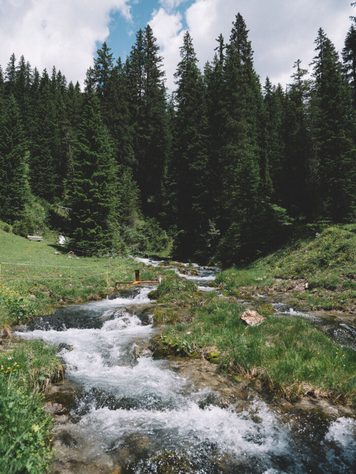 Berg- und Flusslandschaft im malerischen Zugertal