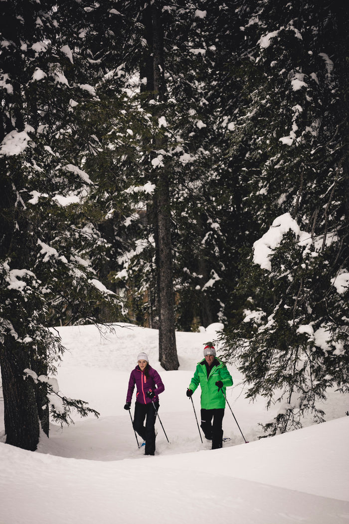 zwei Personen genießen die traumhafte Schneelandschaft beim Winterwandern durch die Wälder von Lech Zürs