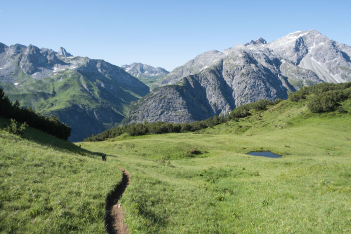Grüne Bergwiese mit weitläufigem Bergpanorama im Hintergrund