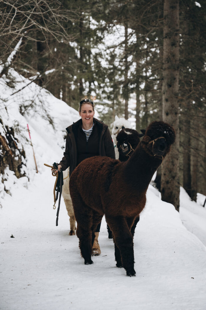 Adriana mit den Alpakas bei der Alpakawanderung durch die Lecher Berglandschaft