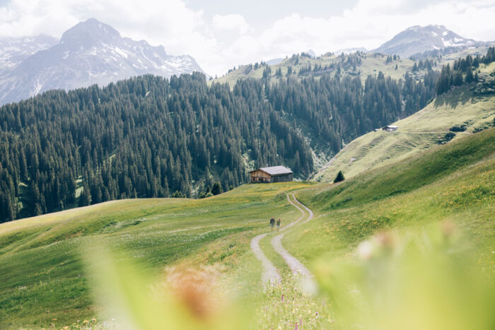 Wanderung nach Bürstegg