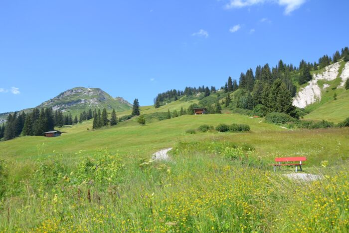 Blick Ã¼ber die Blumenwiesen von Oberlech