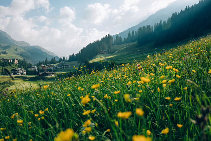 fruehling-lech-zuers-vorarlberg 