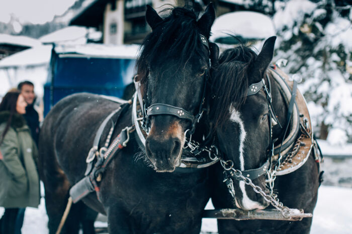 Dorf_Winter_LZTG_by_Daniel_Zangerl_web (60)