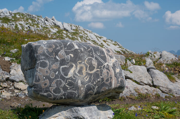 Steinzeitweg_LZTG_by_Georg_Schnell (31)