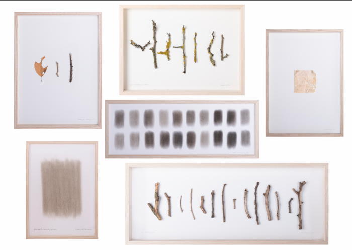 herman de vries, multiple works