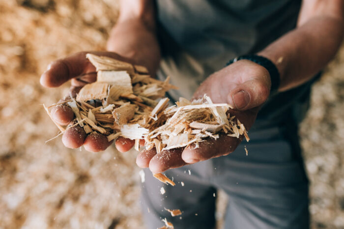 Hände mit Holzschnippsel in der Hand 