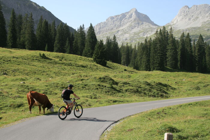 Radfahrer fährt ins Zugertal