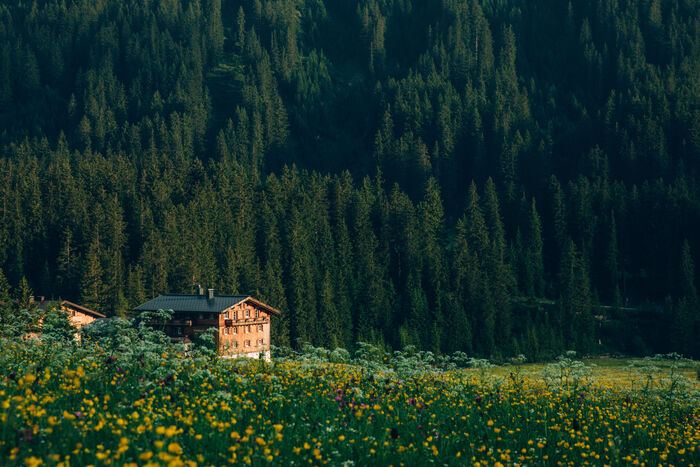 fruehling-lech-zuers-vorarlberg