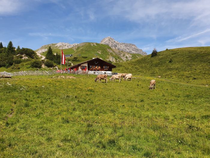 Kriegeralpe