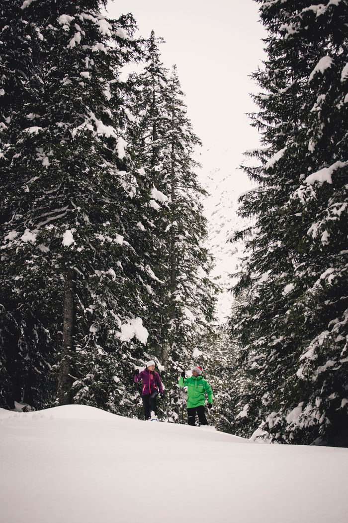 Blick auf die schneebedeckten Nadelbäume, inmitten der Schneelandschaft, in der Mitte des Bildes sieht man 2 Schneeschuhwanderer
