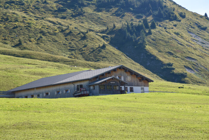 Untere Auenfeldalpe