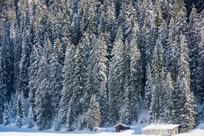 nidus_chalet_lech_winter_schnee_DSC_3606