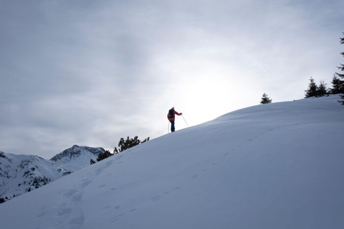 Winter_2025_LZTG_by_Vincent Croce_WEB (10)