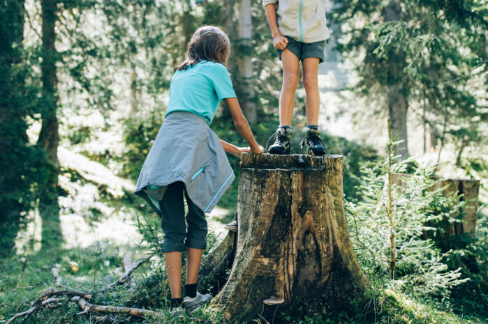zwei Kinder toben im Wald auf einem alten Baumstumpf