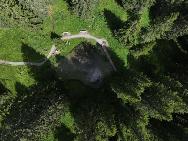 Vogelperspektive des Libellensees am Grünen Ring