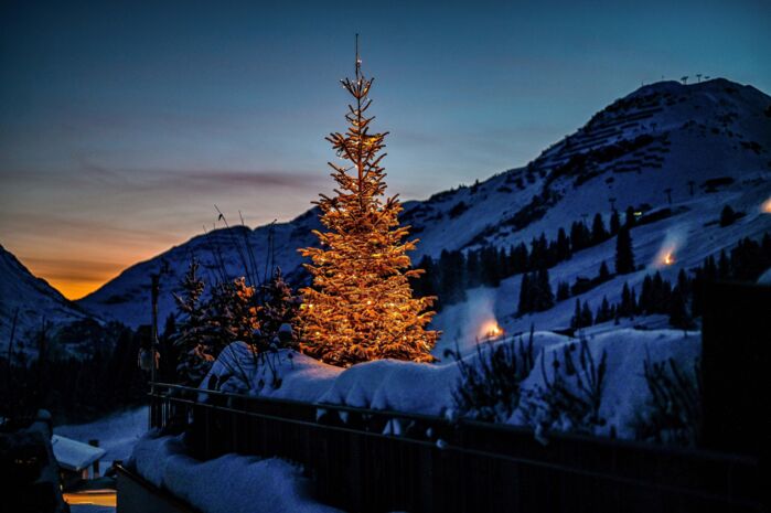 Beleuchteter Baum vor Bergen bei Sonnenuntergang