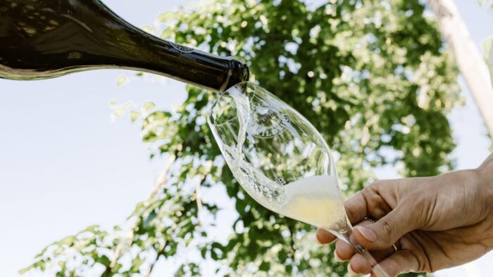 Weinglas mit Baum im Hintergrund