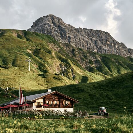 Kriegeralpe in summer