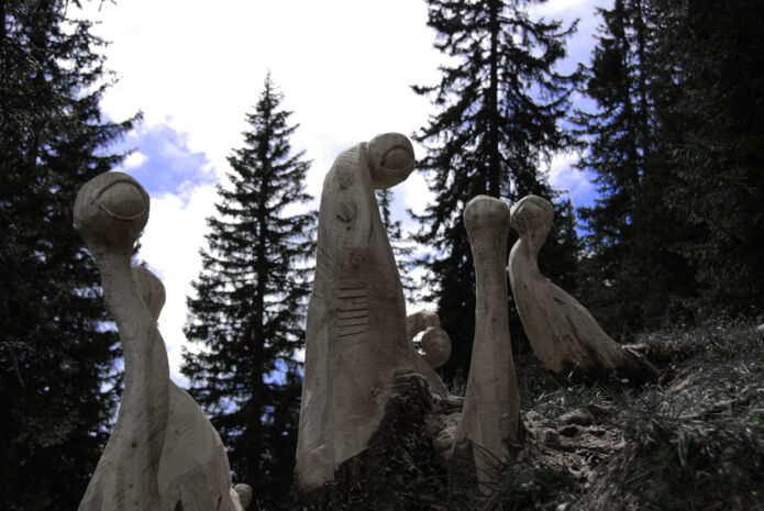 Waldaugen aus Holz stehen im Sagenwald am Grünen Ring