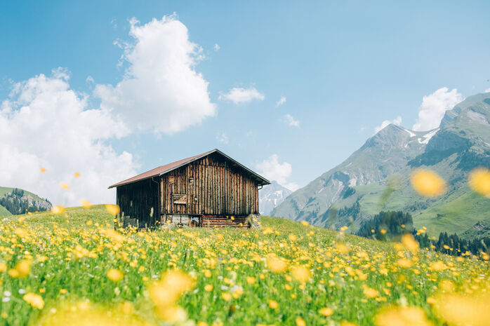 fruehling-lech-zuers-vorarlberg