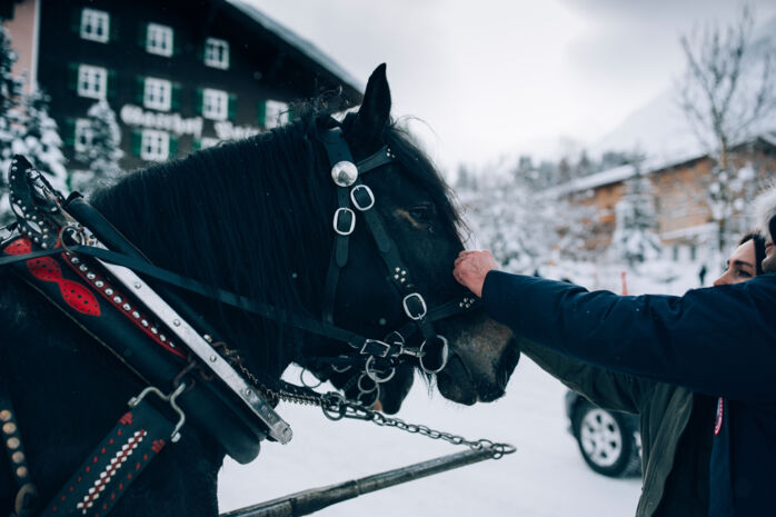 Dorf_Winter_Pferdeschlitten_LZT