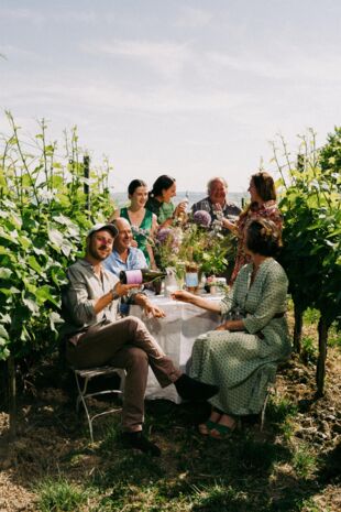 Weingut Aufricht