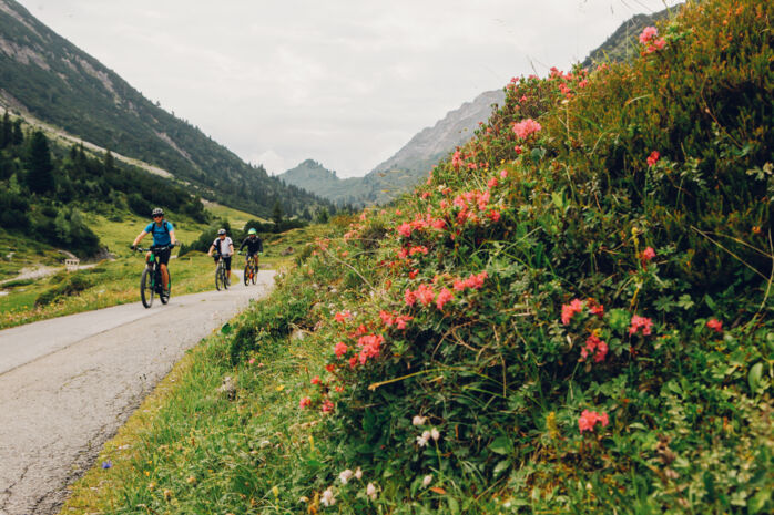 Drei Radfahrer links im Bild auf asphaltierter Straße im Vordergrund Blumen sichtbar