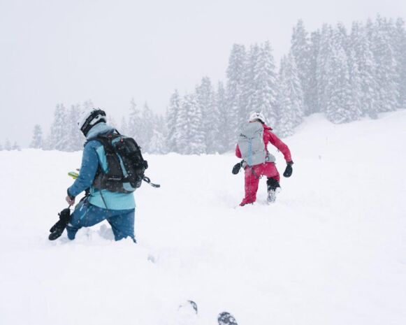 Supersusi-WPD23-web8445-qqj724glak2p9s9zm2cg96xv8q