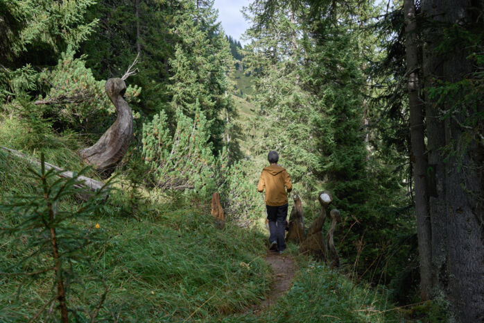 Ein Wanderer geht durch den Sagenwald am grünen Ring