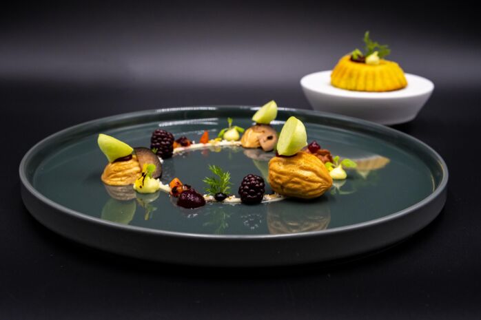 Entenstopfleber mit Baba 2