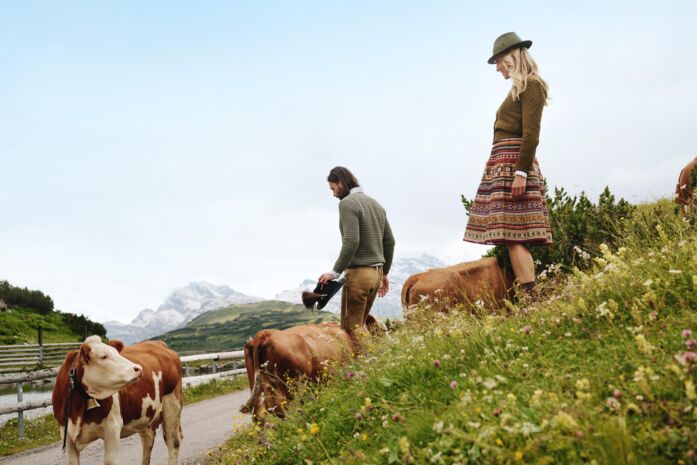 Wandern KÃ¼he Burg Hotel Lech am Arlberg