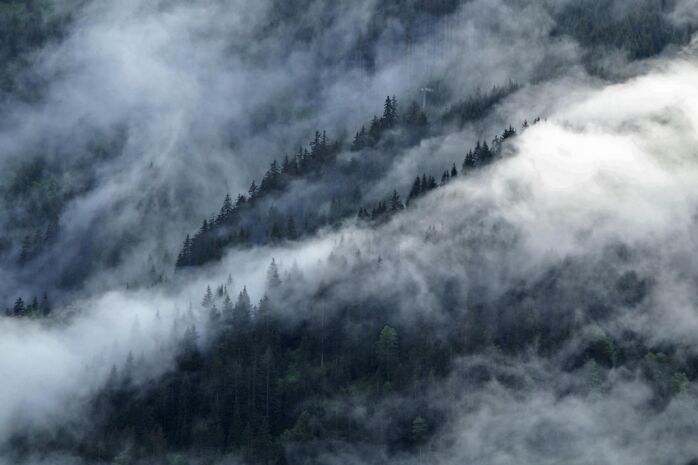 Sonnenburg 2025, Bewerbungsfoto 4