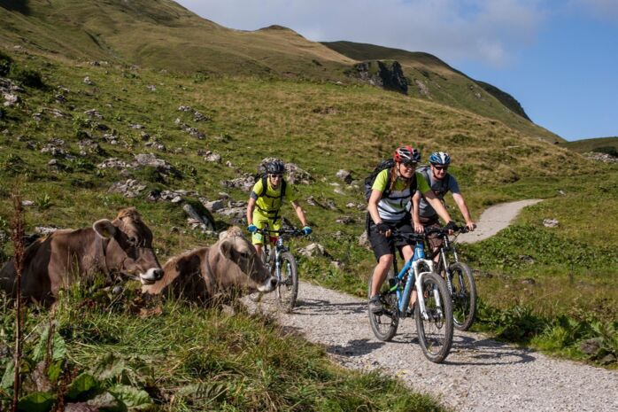 E-Bike Tour
