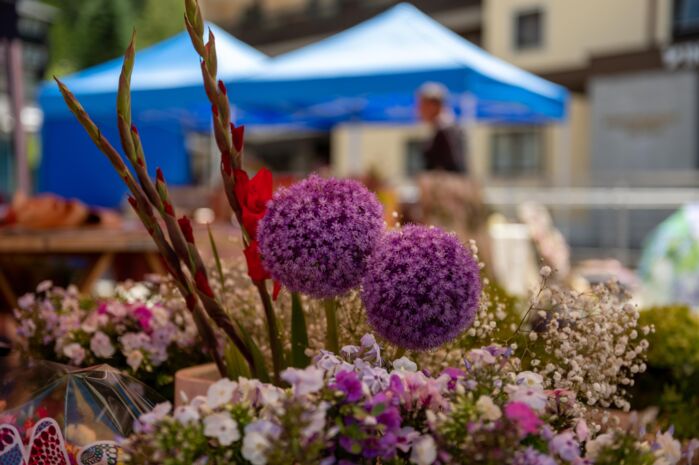 Nahaufnahme von violetten Zierlauchblüten und weiteren Blumen auf einem Marktstand; der Hintergrund mit blauem Zelt ist unscharf.
