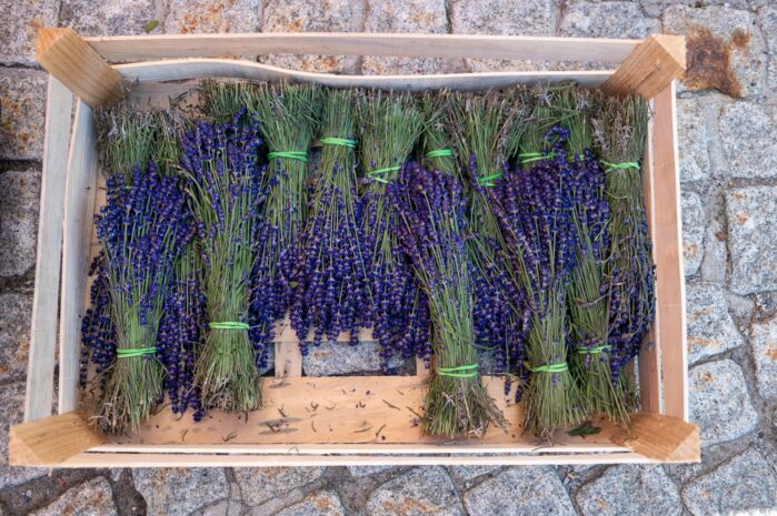 Kiste mit gebündeltem Lavendel auf einem gepflasterten Boden.
