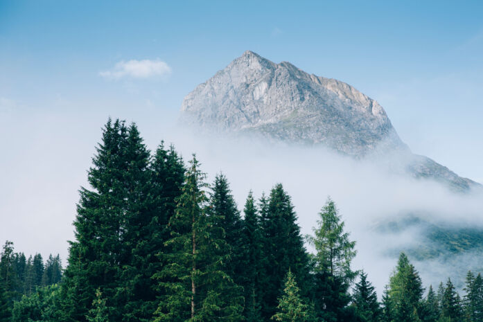 Landschaft_LZTG_by_Daniel_Zangerl_WEB_ (18)