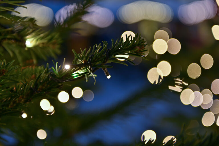 Weihnachten_2022_LZTG_by_Dietmar_Hurnaus_WEB_ (60)