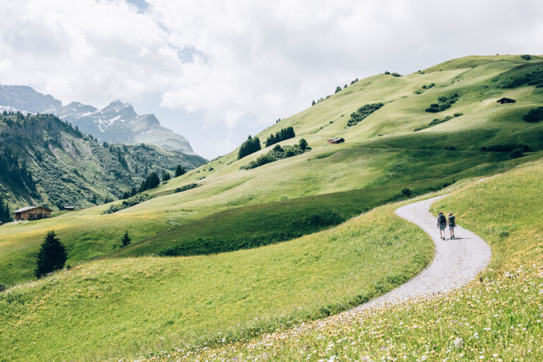 zwei Personen wandern auf einem langen Forstweg zwischen blumigen Bergwiesen in Richtung Bürstegg